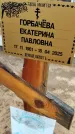 Захоронение ID 6383187