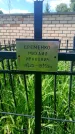 Захоронение ID 6383216