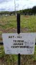 Захоронение ID 6383402