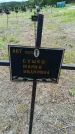 Захоронение ID 6383408