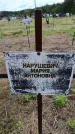 Захоронение ID 6383420