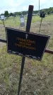 Захоронение ID 6383431