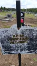 Захоронение ID 6383461