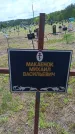 Захоронение ID 6383470