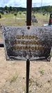 Захоронение ID 6383474