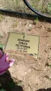 Захоронение ID 6383680