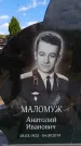 Захоронение ID 6383815
