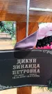 Захоронение ID 6383871