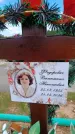 Захоронение ID 6383919