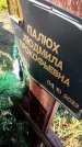 Захоронение ID 6384004