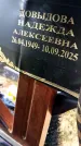 Захоронение ID 6384064
