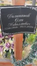 Захоронение ID 6384108