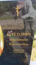 Захоронение ID 6384225