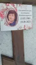 Захоронение ID 6384307