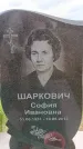 Захоронение ID 6384494