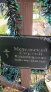 Захоронение ID 6384527