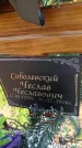Захоронение ID 6384561