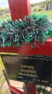 Захоронение ID 6384589