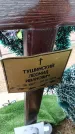 Захоронение ID 6384616