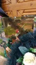 Захоронение ID 6384767