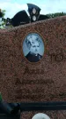 Захоронение ID 6384791