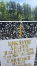 Захоронение ID 6384853