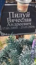 Захоронение ID 6385118