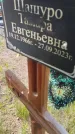Захоронение ID 6385287