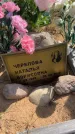 Захоронение ID 6385319