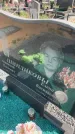 Захоронение ID 6385336
