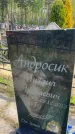 Захоронение ID 6385413