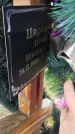Захоронение ID 6385517