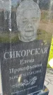 Захоронение ID 6385669