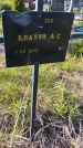 Захоронение ID 6385680