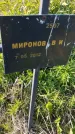 Захоронение ID 6385681