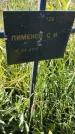 Захоронение ID 6385683