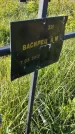 Захоронение ID 6385690