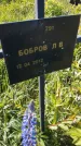 Захоронение ID 6385691