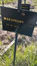 Захоронение ID 6385695