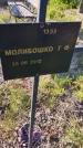 Захоронение ID 6385704