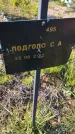 Захоронение ID 6385705