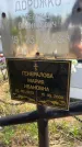 Захоронение ID 6385762
