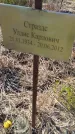 Захоронение ID 6385774