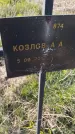 Захоронение ID 6385779