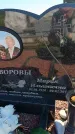 Захоронение ID 6385890