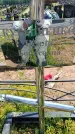 Захоронение ID 6385957