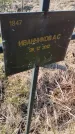 Захоронение ID 6385980