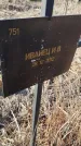 Захоронение ID 6385981