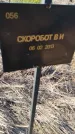 Захоронение ID 6385987