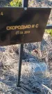 Захоронение ID 6385999